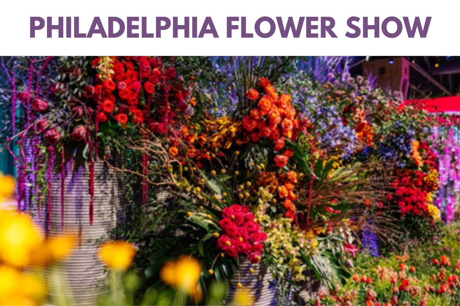 Philadelphia Flower Show - Mon., March 2 - Wed., March 4, 2026